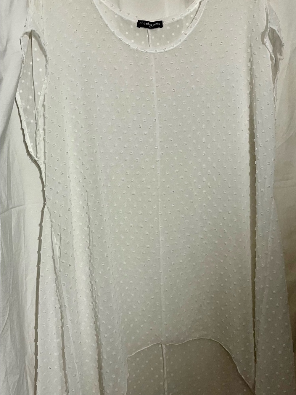 cha cha vente White Swiss Dot Scoop Neck Tunic